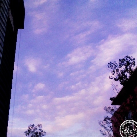 Chill of early morning Chill of early morning