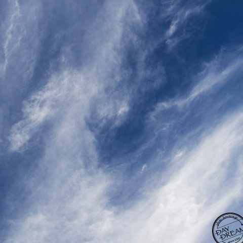 Everything become maestro Everything become maestro