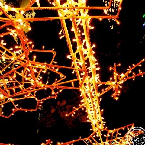 The midnight Amusement park... The midnight Amusement park...