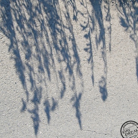 Ghostly shadow...