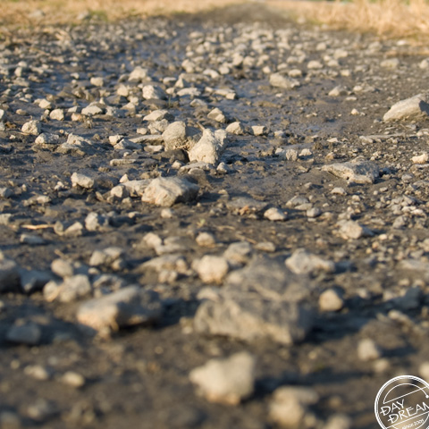 We all need recognition