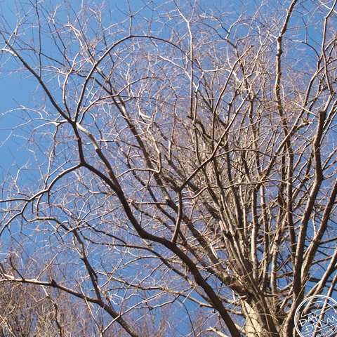 Summer. And, winter. 