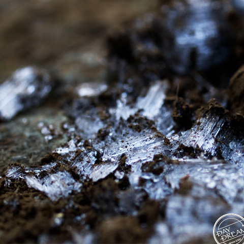 Crunch crunch crunch