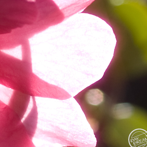 New and old. Old and new