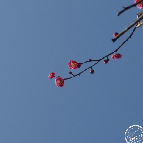 Be indulgent toward others