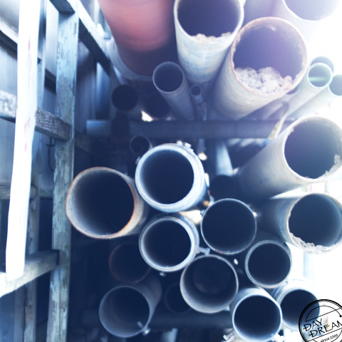 Honeycomb of paper wasp