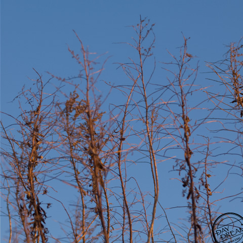 Be broken to pieces. scatters to the wind.