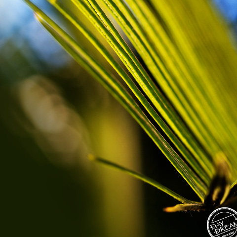 trust no one. trustful. trust no one. trustful.