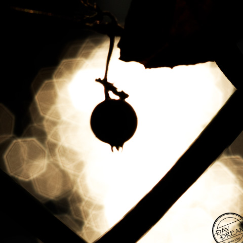 We all need recognition