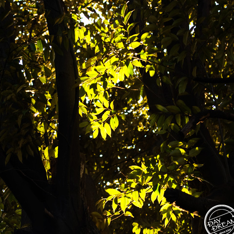 Inaccessible locations