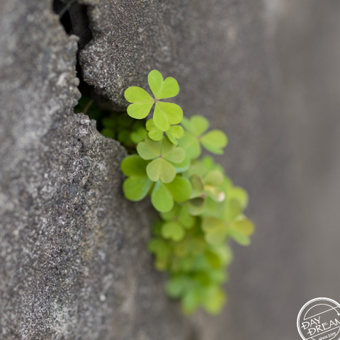 Scenery that is anywhere