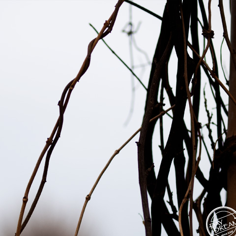 Clear up a question...