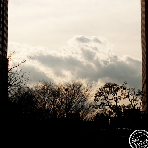 In the gathering twilight