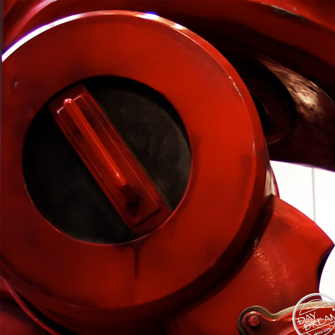 I trust only myself.