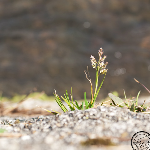 Well-trodden... never mind!