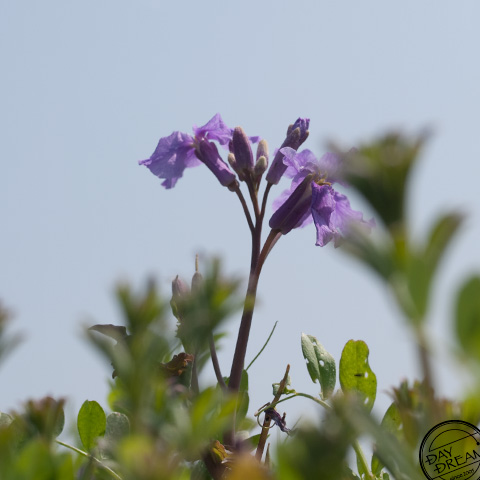 Mild afternoon in spri