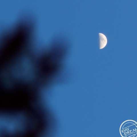 We all need recognition