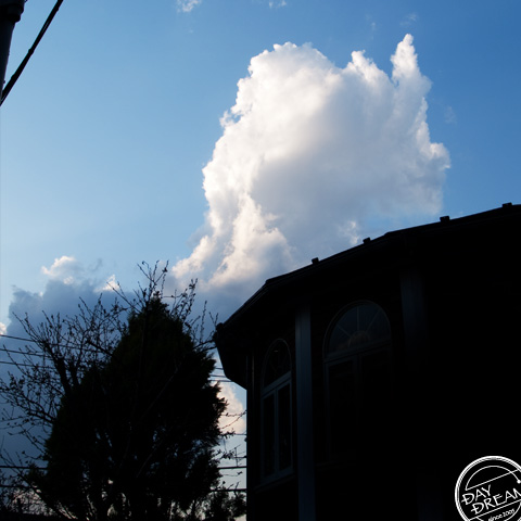 See a flash of summer