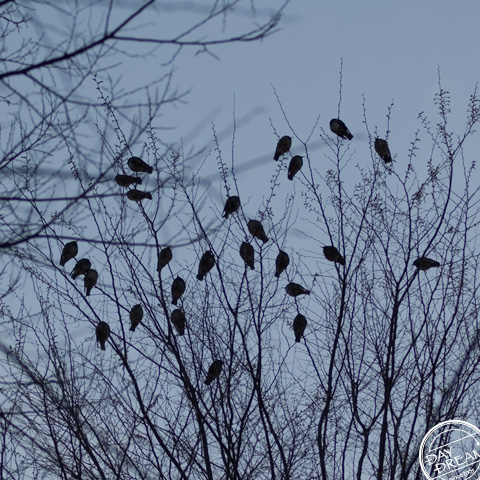 I hope it will be fine tomorrow