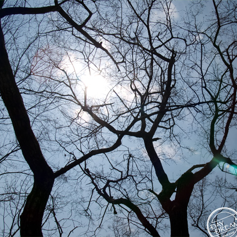 Break with tradition