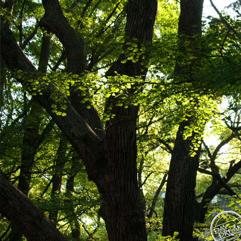 Did you have a nice nap?