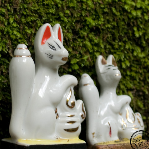 fried bean-curd stuffed with boiled rice