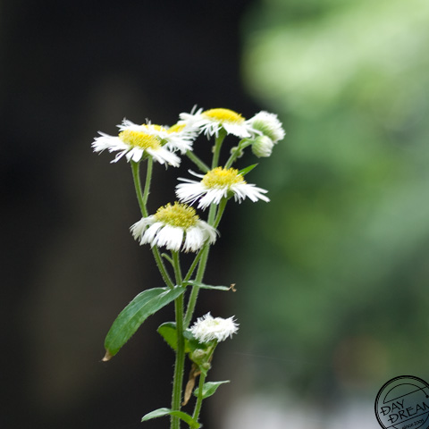 You got no reason to trust me.