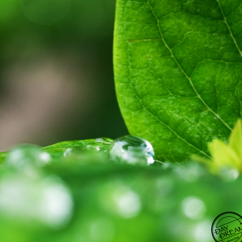 Drop through a straw