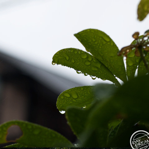 Lose oneself in reading