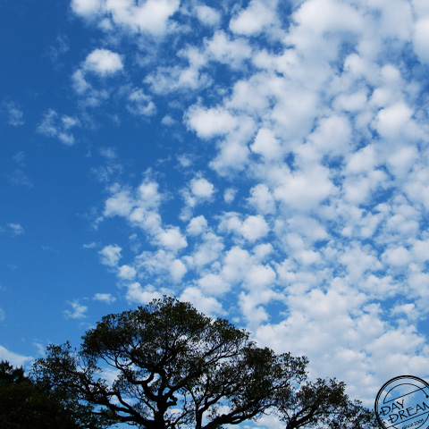 Clear blue sky and white