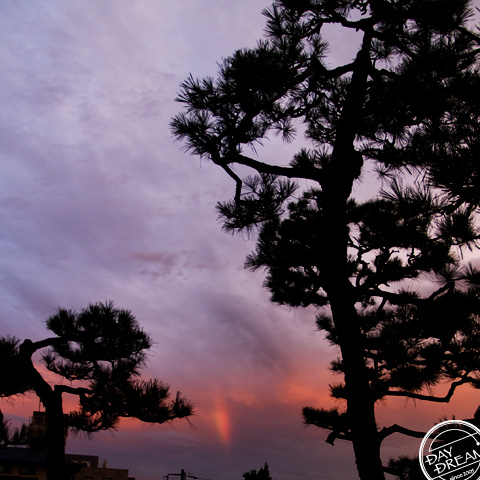 Missing and missing... 