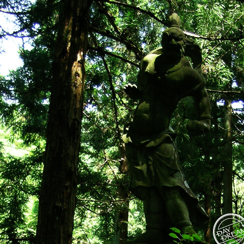 Believes. and doesn't believe