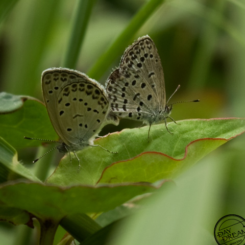 On the way in morning and morning