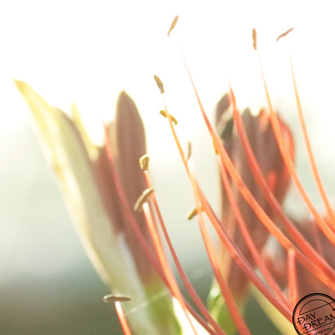 The world is not a Jigsaw