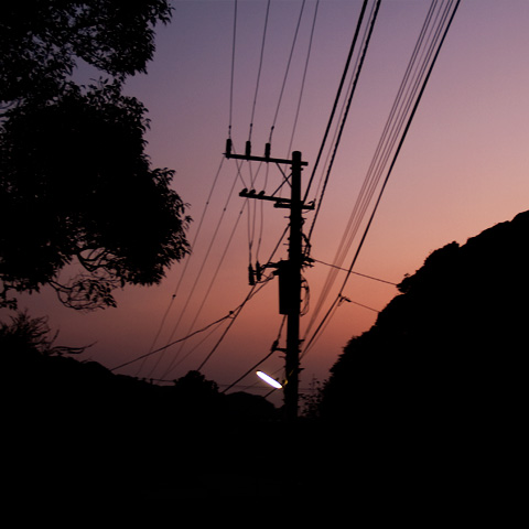 Rush home on the bicycle