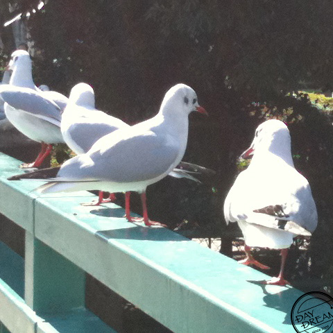 Escapable laughing approaches