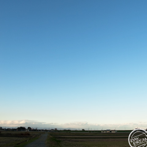 Transportation service