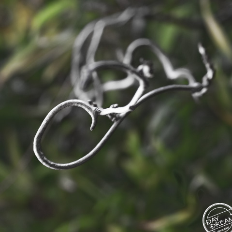 World antilogy or Antilogy world