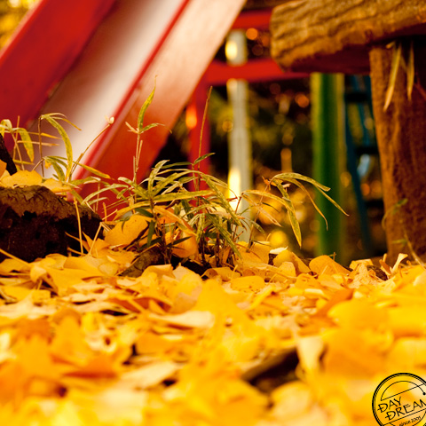 Golden bed in the town park