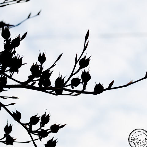 Day of strong wind. The wind doesn't come here.