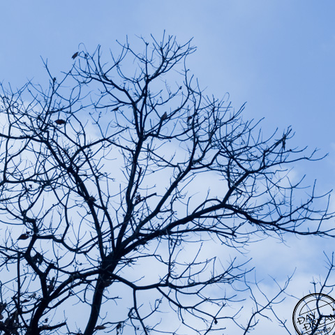 Someone else's problem