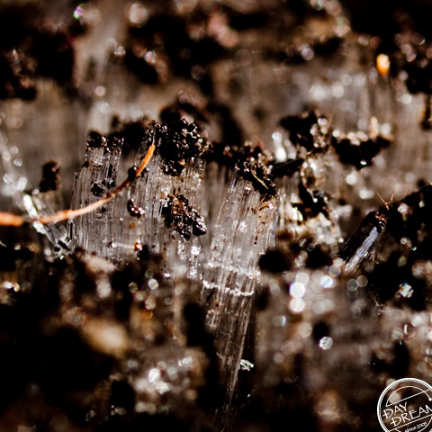 Ice column crisp-sounding