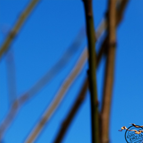 Motionless escalator