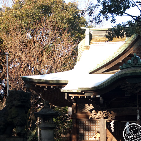 White snow and scarlet ackamaraka