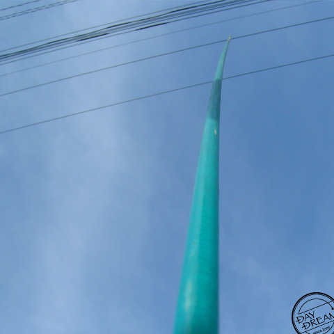 Kite and electric wire