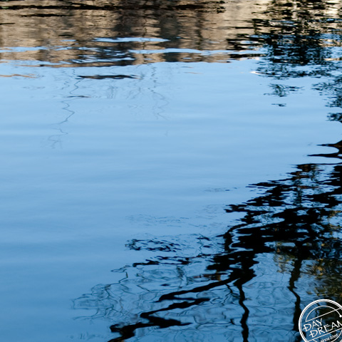 The acorn was thrown out