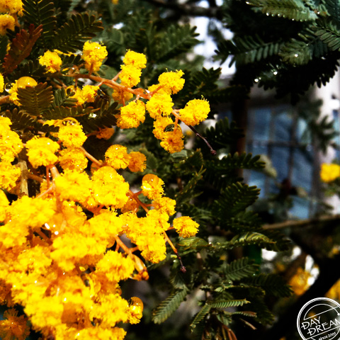 Rainbow after fine after rain