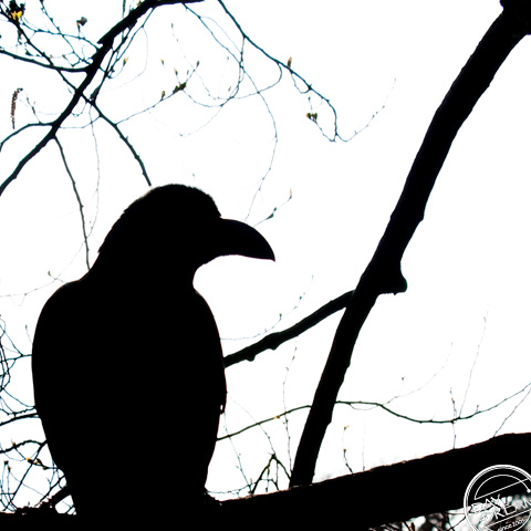 the man you love to hate