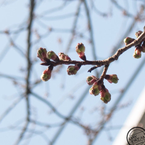 Wistfully for a moment