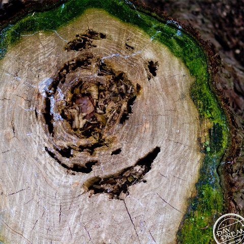 It sees like man's face